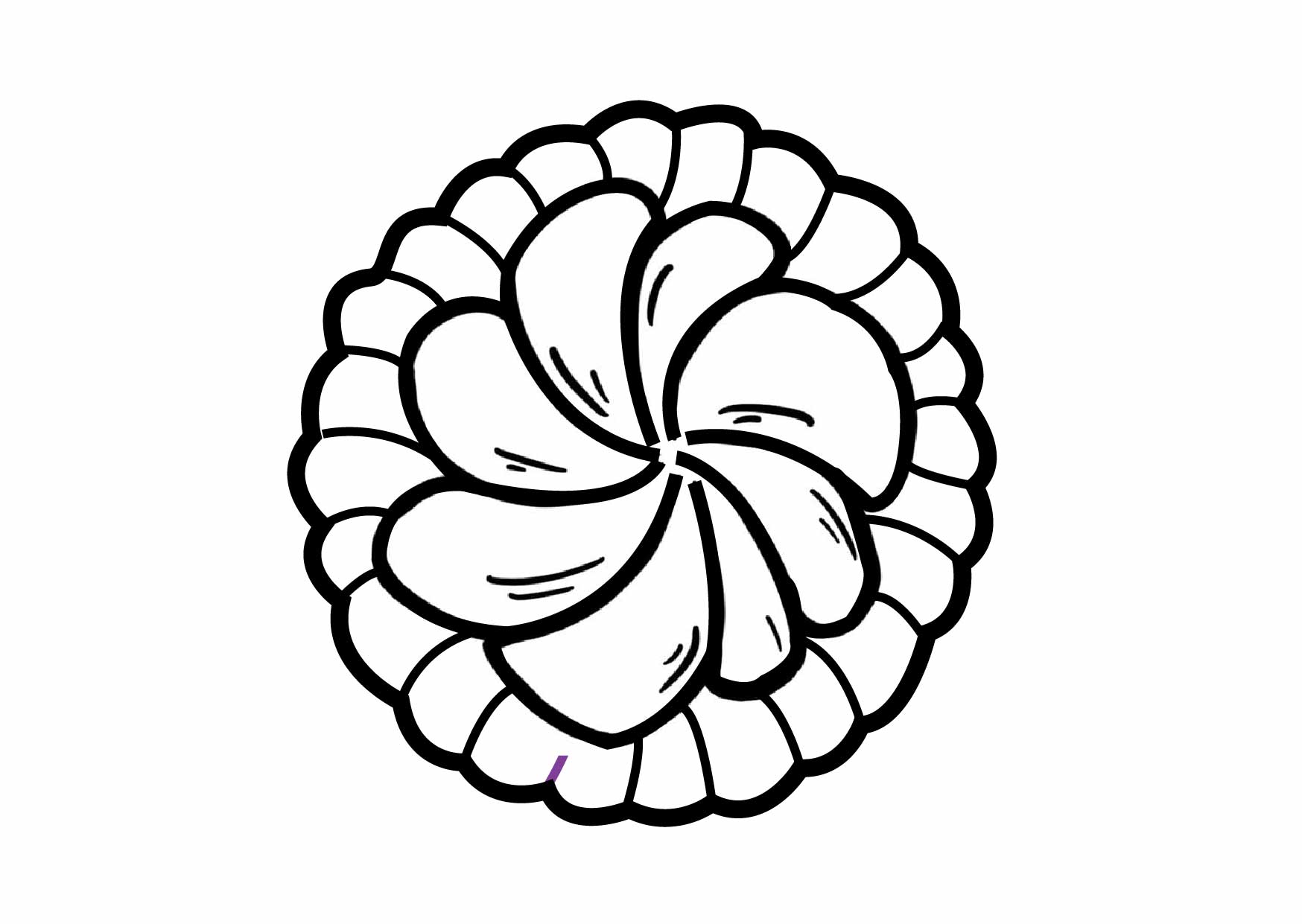 black and white drawing of gem biscuit