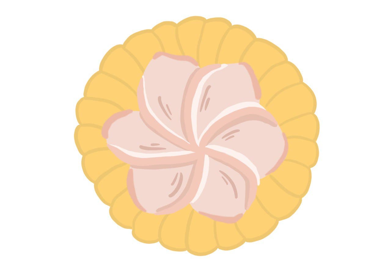 drawing of gem biscuit with colours